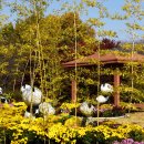 드림파크 이미지