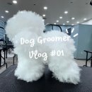 아르테미스학원 | 애견미용학원 1주차 후기 | 이론 배우는중