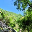 꽃피는산골민박 이미지