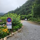 충남 대전 근교 계곡 공주 정안면 원더팜 깔끔한 시설까지 대만족
