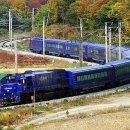 (주)월드항공여행사 이미지