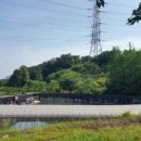 군자 낚시터 이미지