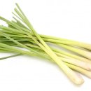 레몬그라스 이미지