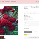 (주)바라 이미지