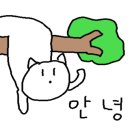 프루쉬 이미지
