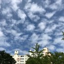 강서하늘치과의원 이미지