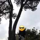 호남여관 이미지