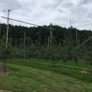 미완성농장 이미지