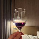 잭 [소비뇽 블랑 2021]&#39; &amp; &#39;빌라마리아 [리저브 피노누아 2019]&#39; - 뉴질랜드 말보로 와인 (솔직 후기)