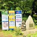 2020 제주여행 2일차(비자림, 보롬왓, 휴애리)