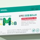 플러스비 이미지