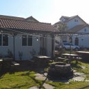 비자숲길15 이미지