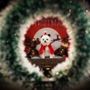 체크인독 애견유치원 이미지