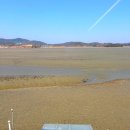 도니VIP키즈풀빌라 | [( ´•౪•`)대부도 몬드리안 키즈풀빌라] 내돈내산 대부도 키즈풀빌라 후기 / 12명 단체 인원 수용...