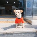 금순이