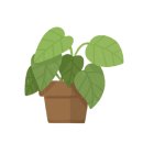 청소년발달 이미지