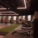 용인대NEW복싱 이미지