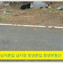 【창녕부동산】 2차도로접 창녕싼임야 2400평 4600만 ( 창녕촌집) 창녕토지 창녕땅 이미지