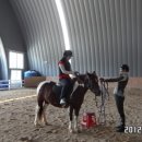 함양승마클럽 이미지