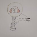 시츄언니 이미지