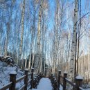 인재숲협동조합 이미지