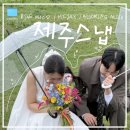 Wedding 20-1 :: 내돈내산 "라이즈무드" 비 오는 날 제주 스냅 후기 &amp; 꿀팁 추천ㅣ블루밍앨리스, 하이재이
