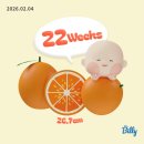 이대행복한 약국 | 임신 21~25주차 ; 오키나와 태교여행 후반부, 쌍둥이 보험 거절, 임산부 감기, 첫 태동, 임당확정, 얼쓰...