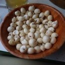 오라고(ORAGO) 네이버블로그