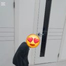 루멘음악학원 - 화성시 10용사로 343-10 | 루멘음악학원