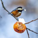 명암약수터 이미지