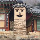 가람목재 | 영광 가볼만한곳/전국 최대의 상사화 군락지 불갑사