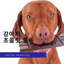 새분당건강생활 이미지