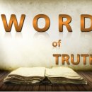 진리의 비상 이미지