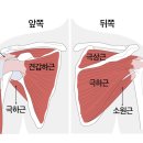 더블에스플라이 이미지