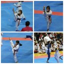 경희대무경태권도장 이미지