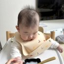 리츠전자 | 예쁘고 실용적인 이유식 식기 추천 / 시리츠 ceriz 아기그릇, 유아식기 후기