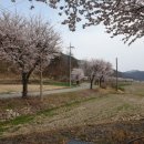 덕곡면사무소 이미지