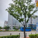 인천북부지방노동사무소 | 블로그에 이용 후기를 남긴 것이 명예훼손죄가 성립할 수 있을지 여부