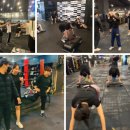 예스복싱 소사점 이미지