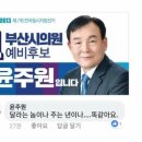 이 시각 민주당 부산 시의원 예비후보 이미지