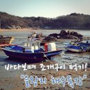 바다와 구이 이미지