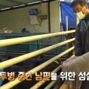 장정숙농장 티스토리