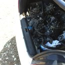 서울부란자 이미지