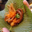 호로록냠냠 이미지