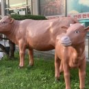 남원축산물 명품관