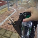 애니카랜드 서세종점 | 2026년 1월 16일