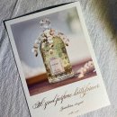 뮤게(muguet) 이미지