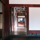 낙선재한의원 | 창덕궁 전각 창호 창문 개방 행사 풍경 후기