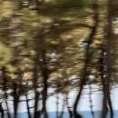 모자이크 어거스트 이미지