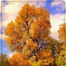 유리세탁소 이미지